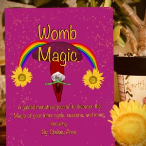 Womb Magic Menstrual Journal 6x9 pink cover with ritual-inspired design
