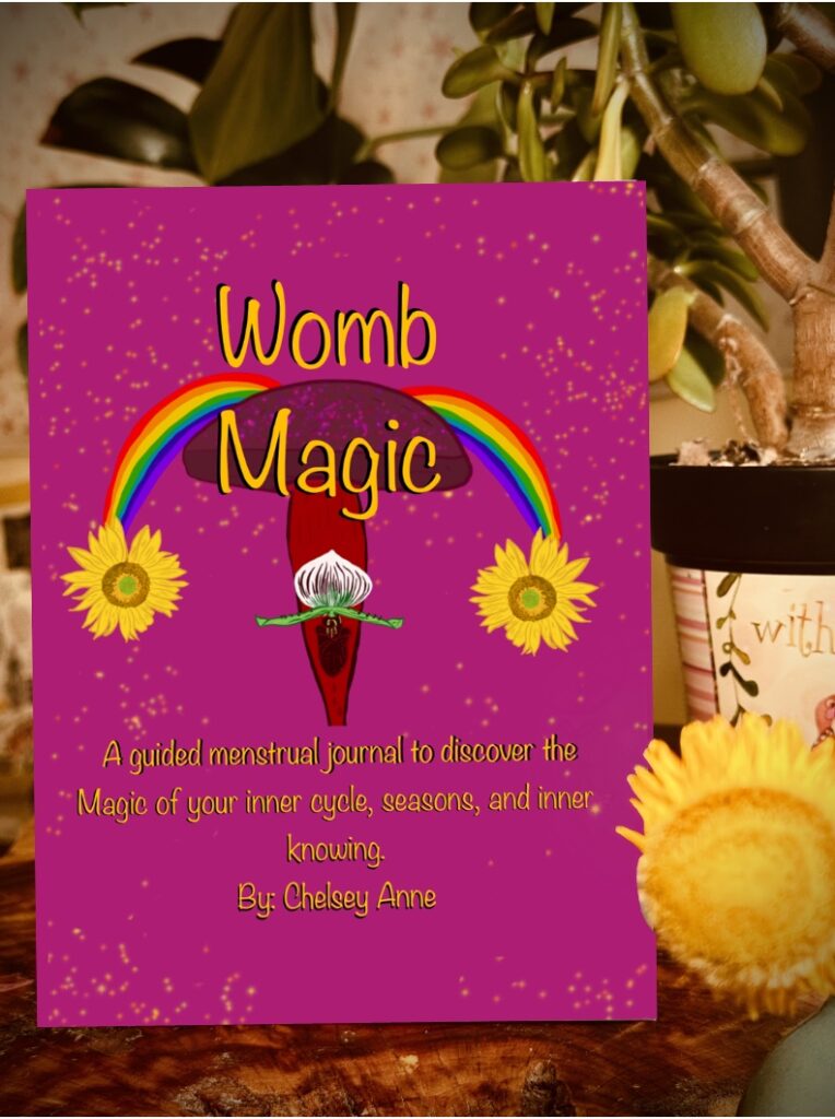 Womb Magic Menstrual Journal 6x9 pink cover with ritual-inspired design