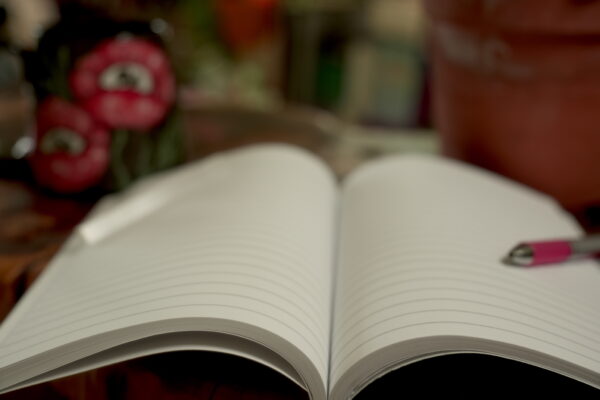 Moonlit Rose Journals - Image 5