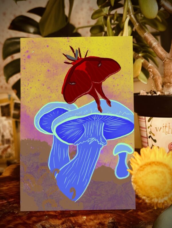 Blue Mushroom & Red Luna Moth Journals – Nature-Inspired Blank or Lined