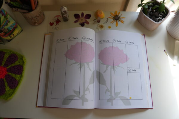 Weekly planner layout with sections for goals and tasks, featuring a soft rose flower in the background.